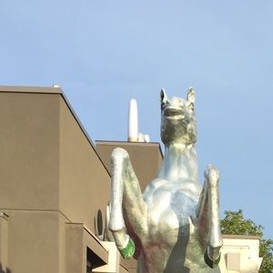 Meet your Posher, Karine